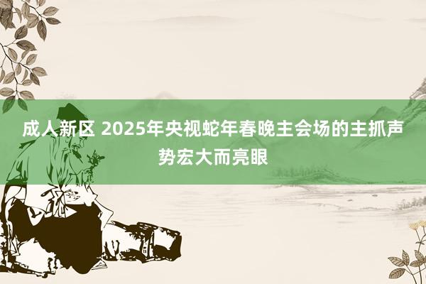 成人新区 2025年央视蛇年春晚主会场的主抓声势宏大而亮眼